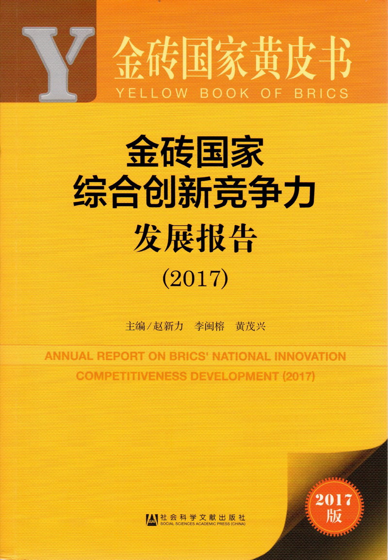 中国腰丝美女和男人在床上一起操网站金砖国家综合创新竞争力发展报告（2017）